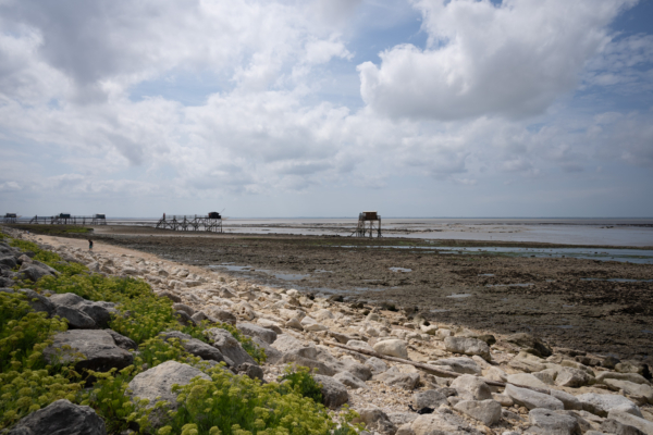 Vacances Charente-015