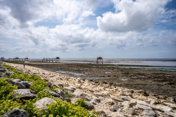 Vacances Charente-016