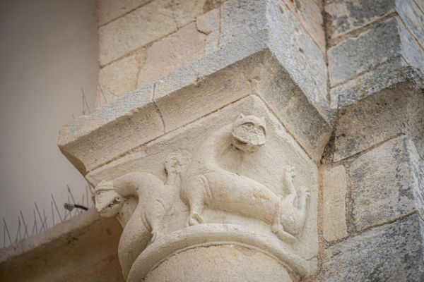 Vacances Charente-023