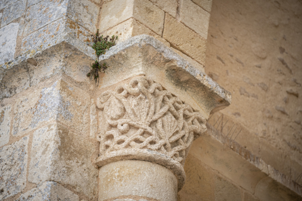 Vacances Charente-025